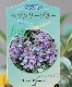 ڥ󥹥ƥ󡡡إإ֥꡼֥롼 