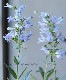 ڥ󥹥ƥ󡡡إإ֥꡼֥롼 