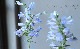 ڥ󥹥ƥ󡡡إإ֥꡼֥롼 
