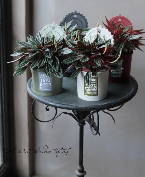 �ڥڥ��ߥ������ڥ顼�����إ��å���