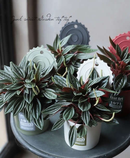 �ڥڥ��ߥ������ڥ顼�����إ��å���