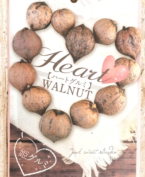 姫クルミの苗　2本　匿名配送 果樹】『姫グルミ』 | 花苗 | | Junk sweet Garden tef*tef*