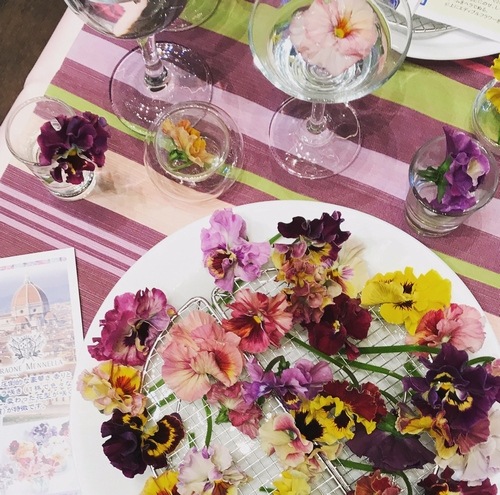 �ѥ󥸡� ���ࡼ���롼���� �إ饤�ȥӥ�����å��١����٤��롪���ǥ��֥�