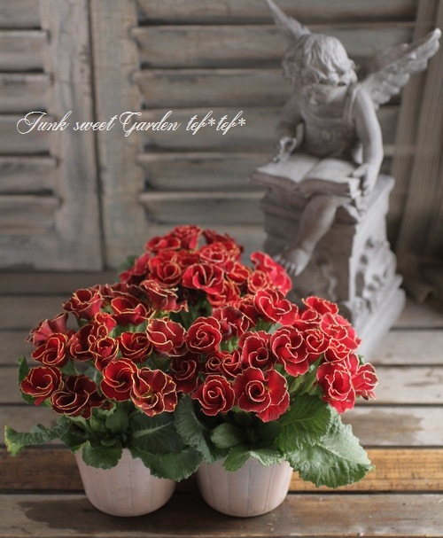 u*2様 ✨今なら最安値✨新品 リニュートリィブ ダイヤモンド　ブリリアンスクリ GRENLANDER（グリンランダー） 215/50R18 4本セット 2026年製造 新品