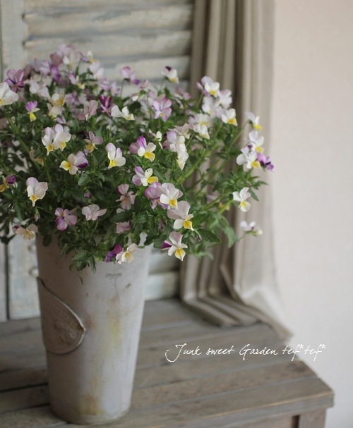 tef*tef*�����ƥ�2014<BR>* no.15*���֥ꥭ�ݥå�<BR>�إԥ󥯹ʤ��