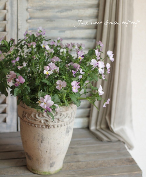 tef*tef*ƥ2014<BR>* no.14*<BR>إԥ󥯹ʤ