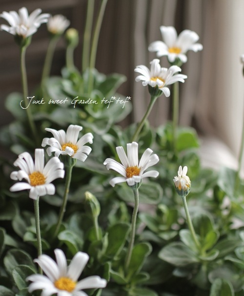 1_000000003519.jpg?1678209903