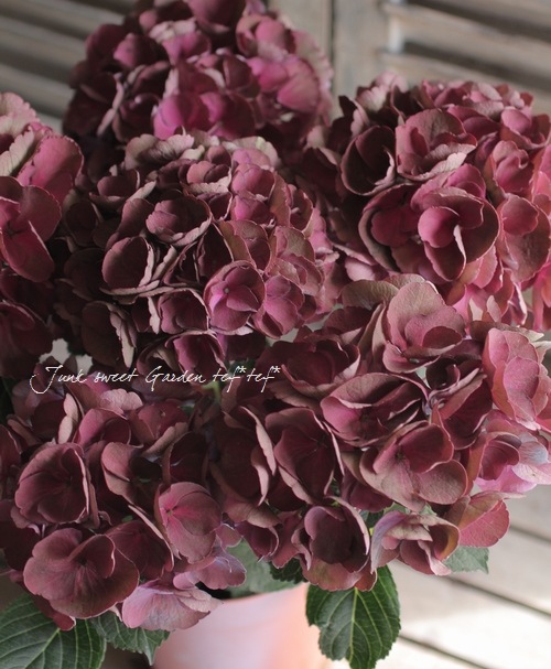 1_000000003565.jpg?1678209903