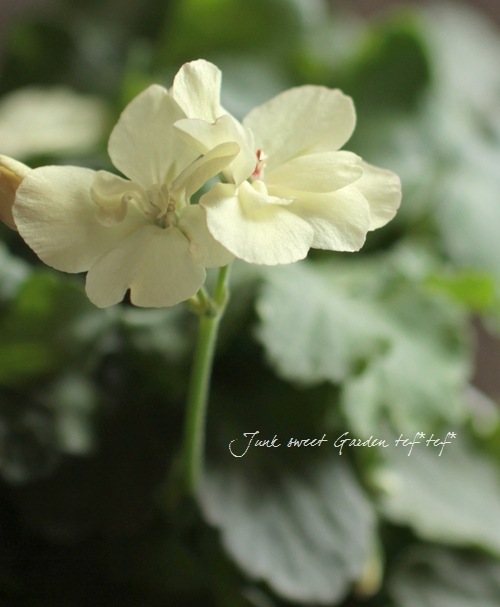 1_000000003759.jpg?1678209903