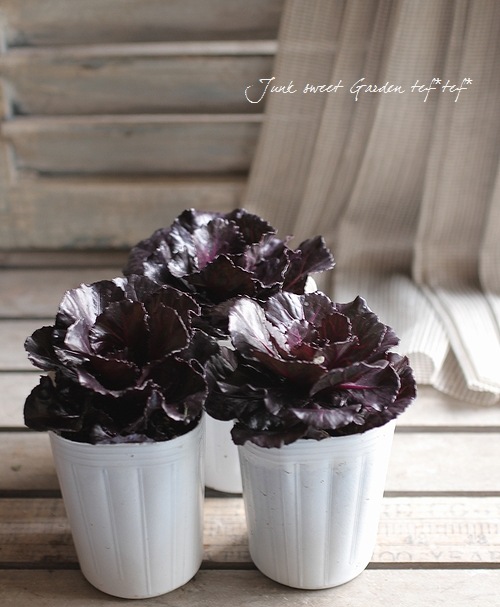 蒼*夢様 フラワーパニエ　ベースブラック×花ダークパープル　45cm オーガンジー花パニエ(45cm丈) ブラック×レッド 完売品