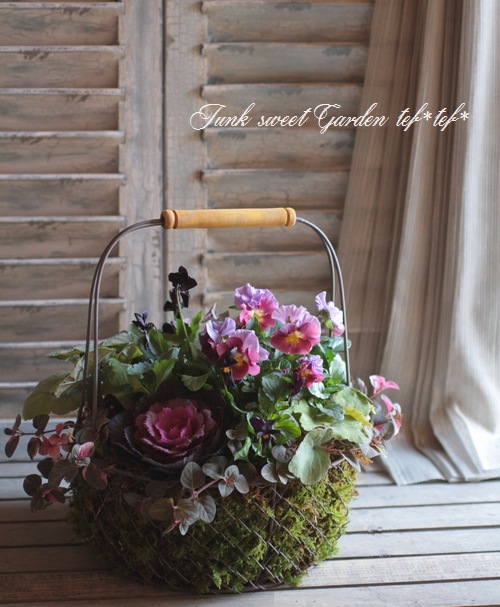 ڻߡۥ磻䡼Хåȡ롦M