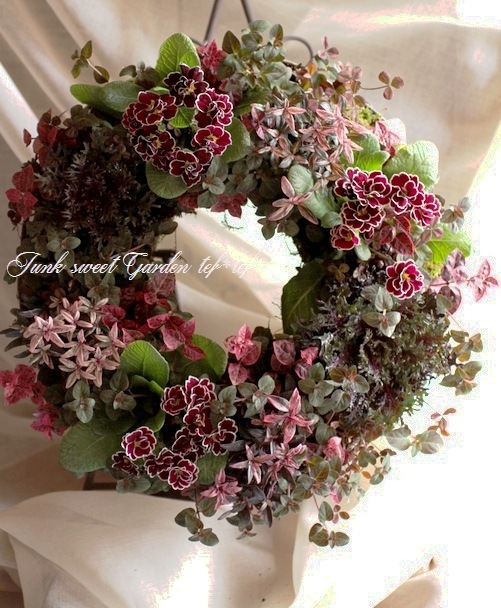 リース272 tef*tef*寄せ植えリース<BR>2014 * no.50 *<BR><BR>『八重咲きプリムラ