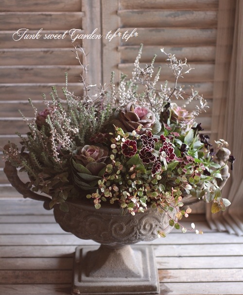 tef*tef*�󤻿���<BR>2014 * no.59 *<BR><BR>�إ���٥������ͤι�ڤʴ󤻿�����