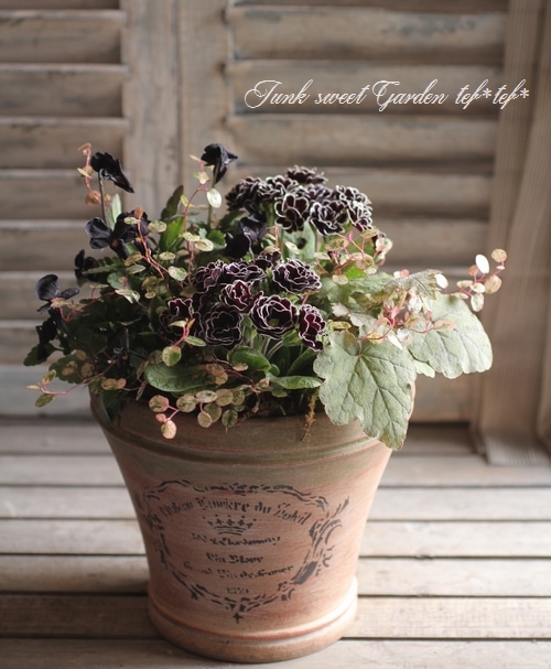 1_000000004239.jpg?1678209903