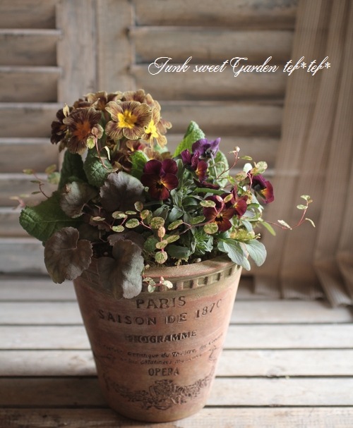 tef*tef*�󤻿���<BR>>2015 * no.14 *<BR><BR>�إΥ��ƥ��٥��١ߥƥ饳�å�