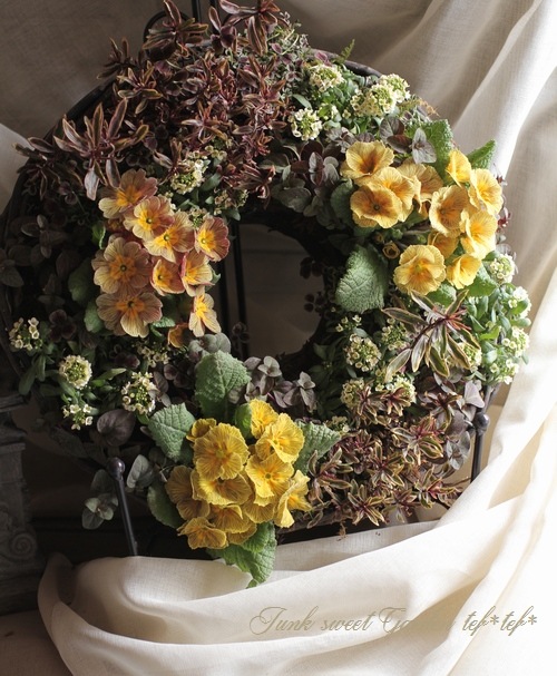 tef*tef*�󤻿����꡼��<BR>>2015 * no.22 *<BR><BR>�ץ���إǥ������Сٻ��ῧ