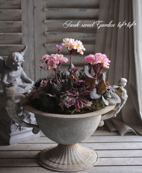 tef*tef*�󤻿���<BR>2015 * no23. *<BR><BR>Ƽ�եץ���ߥ֥ꥭ���å�