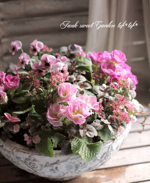 tef*tef*󤻿<BR>2015 * no26 *<BR><BR>⥳ߥץ