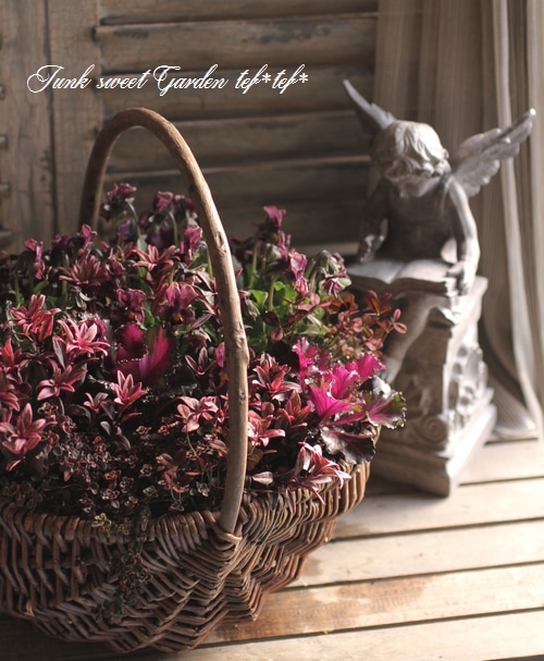 tef*tef*�󤻿���<BR>2015 * no28 *<BR><BR>���å��ʲ֤���