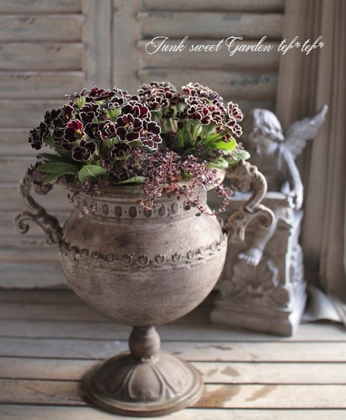 tef*tef*�󤻿���<BR>2015 * no33 *<BR><BR>�إץ���Υ��֥�����