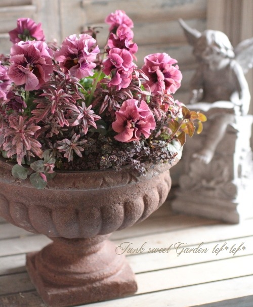 tef*tef*󤻿<BR>2015 * no37 *<BR><BR>եѥ󥸡Ƽ