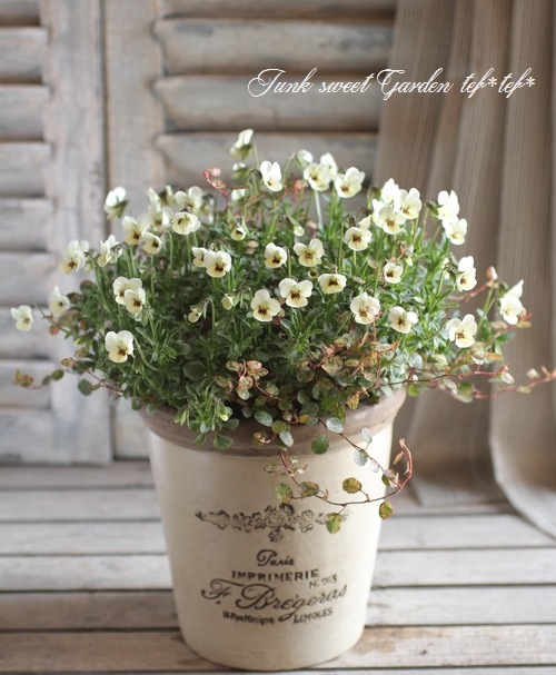 3.11 �����ƥ�.�ץ���������<BR><BR>��7�ͤξ��͡ٴ󤻿��� no.4