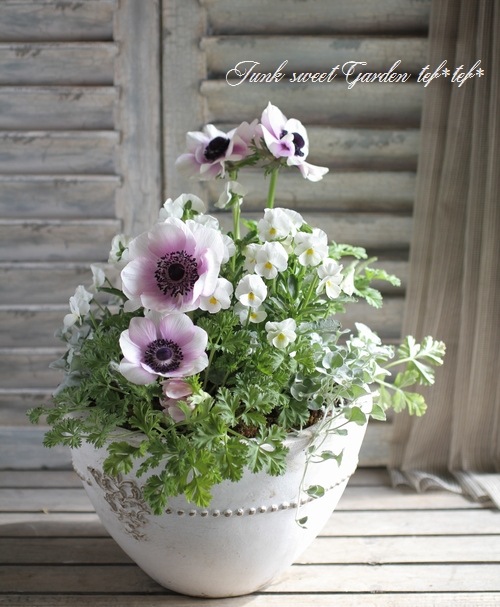 3.11 �����ƥ�.�ץ���������<BR><BR>�󤻿��� no.10<BR>�إ��ͥ�͡���ӥ����