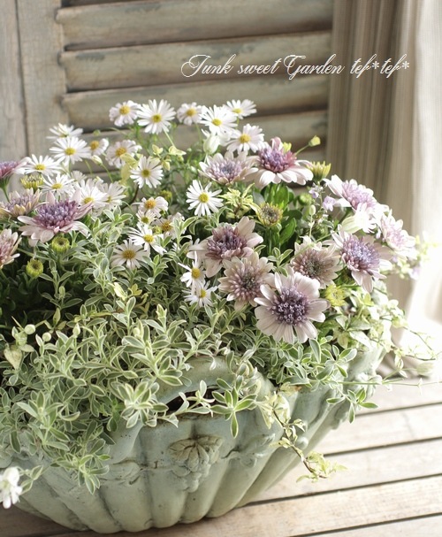 1_000000004714.jpg?1678209903