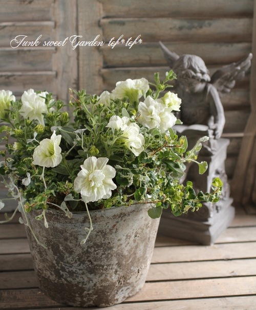 1_000000004806.jpg?1678209903