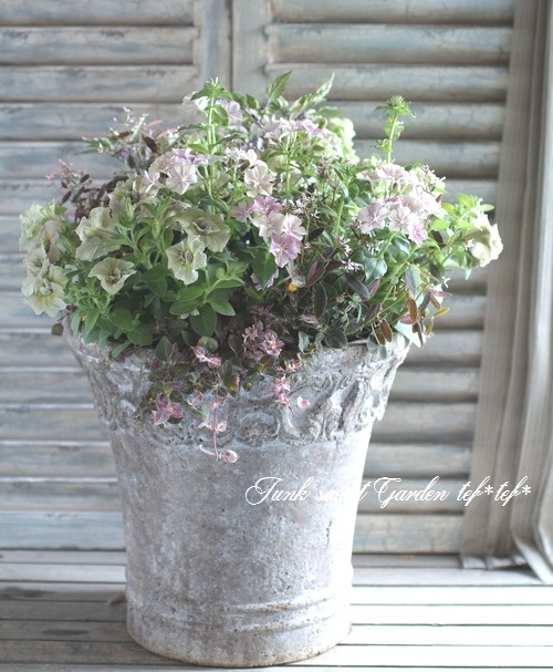 tef*tef*󤻿<BR>2015 * no67 *<BR><BR>꡼֥