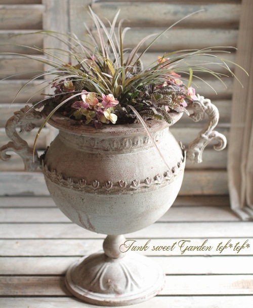 tef*tef*󤻿<BR>2015 * no67 *<BR><BR>ץΡߥ󥿥٥꡼