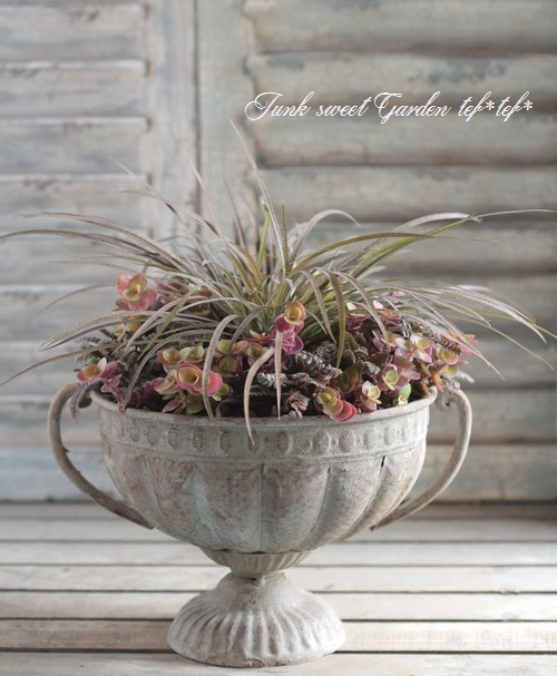 tef*tef*󤻿<BR>2015 * no68 *<BR><BR>ץΡߥ㡼