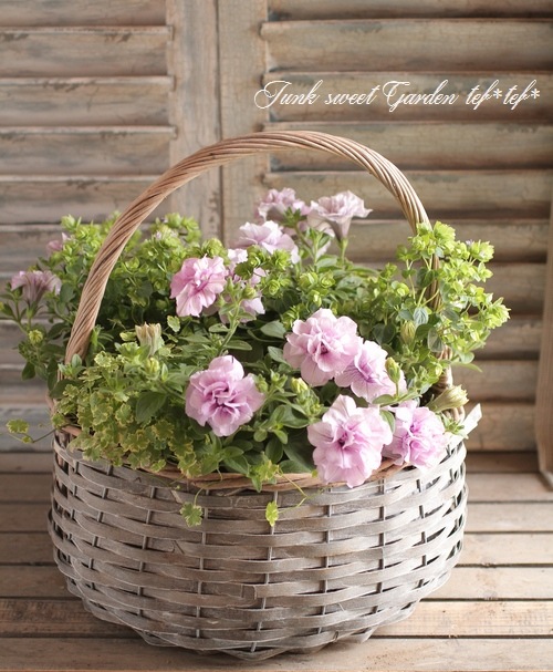 tef*tef*󤻿<BR>2015 * no73 *<BR><BR>إѥ˥١ߥХå