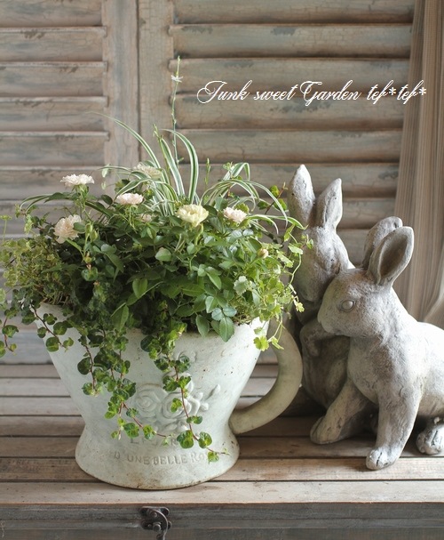 tef*tef*󤻿<BR>2015 * no91 *<BR><BR>ߥ˥Хإ꡼󥢥