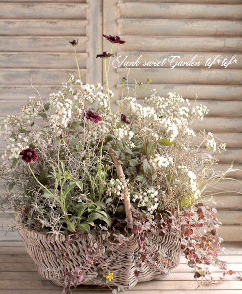 tef*tef*�󤻿���<BR>2015 * no94 *<BR><BR>���λޤ��