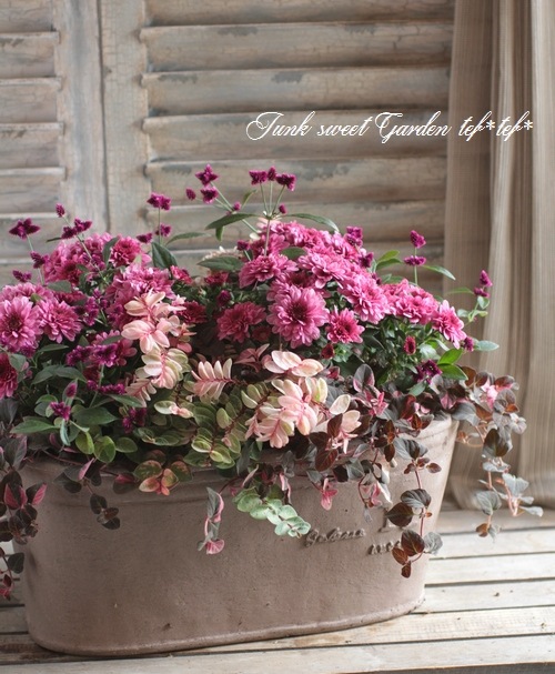 tef*tef*󤻿<BR>2015 * no95 *<BR><BR>ǥޥࡦԥ