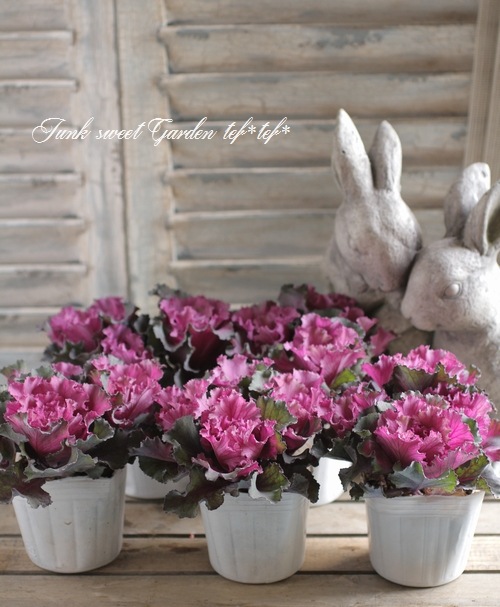 ֡Ωơߥ˥եղðإեȥǥ