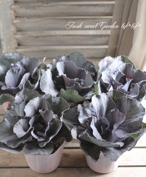 ֥餵󥪥ꥸʥղðإ˥ॷС