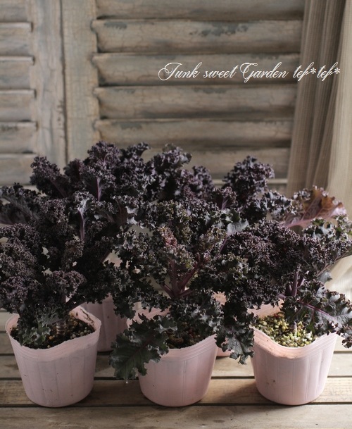 ե󥸤λ祱롡إѡץݥåס