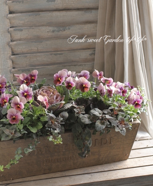 tef*tef*󤻿<BR>2015 * no.101 *<BR><BR>ղð⥫祳顦֤ɤ⤫