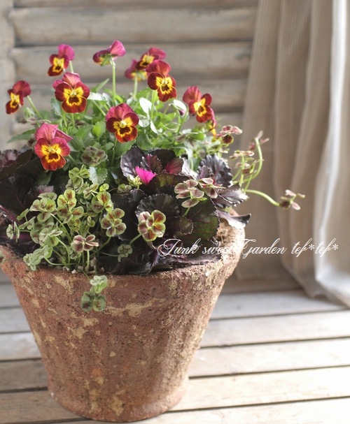 tef*tef*�󤻿���<BR>2015 * no.102 *<BR><BR>�ӥ���إ��åѡ��١��ղ�ð