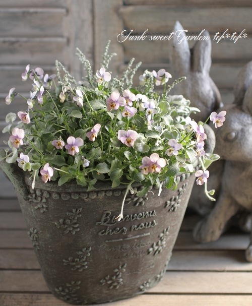 tef*tef*�󤻿���<BR>2015 * no.108 *<BR><BR>�ض˾��إӥ����