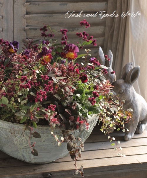 tef*tef*󤻿<BR>2015 * no.110 *<BR><BR>إ쥬 X'mas