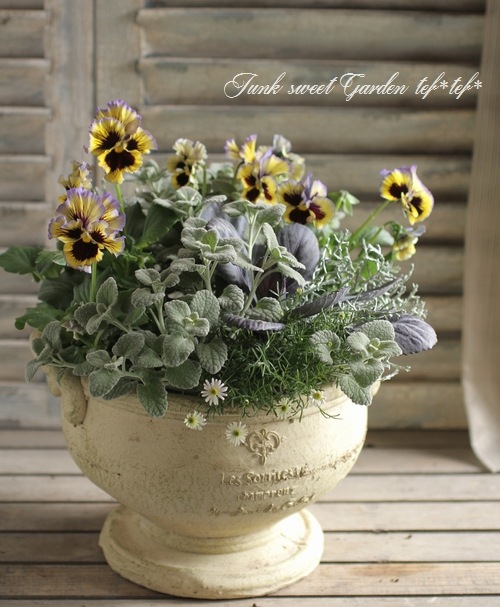 tef*tef*󤻿<BR>2015 * no.110 *<BR><BR>եѥ󥸡إ֥롼