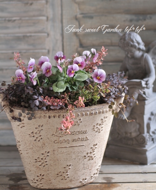 花と壺 花と壺 壷と花 壷と花 Amazon.co.jp: ZX ゼクス 【花住まい