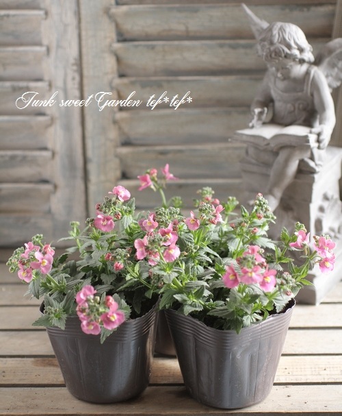 �͵��餭�����ɺ��ͥ᥷�����˥� �إԥ󥯡�