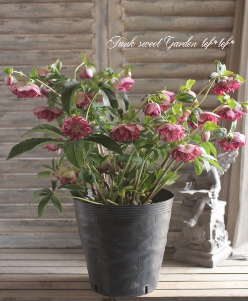 1_000000006014.jpg?1678209903