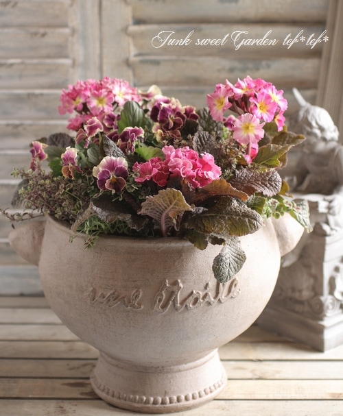 tef*tef*寄せ植え<BR>2016 * no.35 *<BR><BR>『銅葉プリムラ×ビオラ