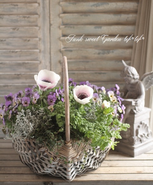 tef*tef*寄せ植え<BR>2016 * no.36 *<BR><BR>『アネモネ×バスケット