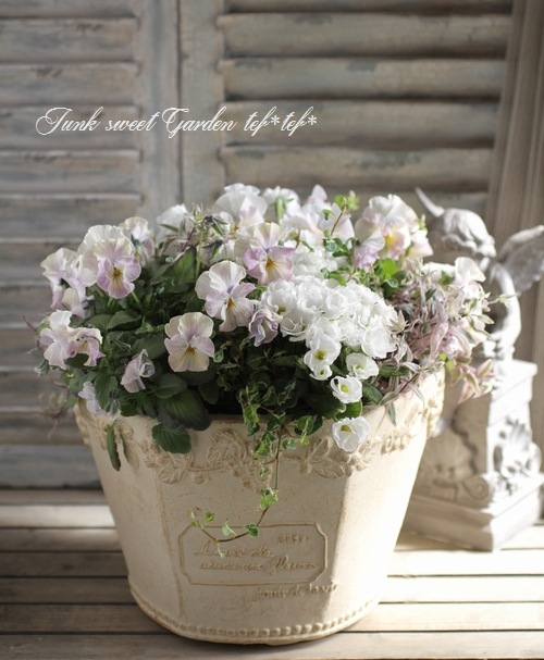 tef*tef*󤻿<BR>2016 * no.40 *<BR><BR>إӥevolveߥץ